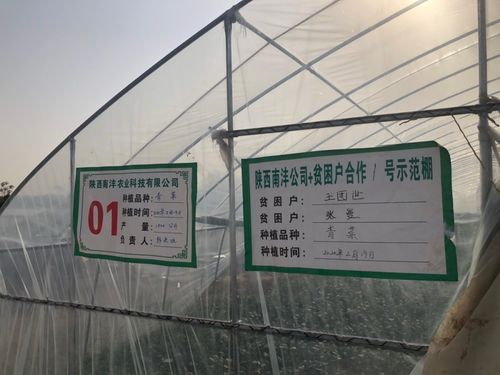 三方协同加码，以技术转让与咨询助推脱贫攻坚